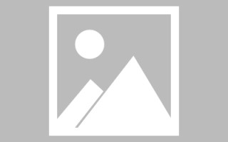 陇南网站建设需要多少花费（网站建设需要多少花费时间）